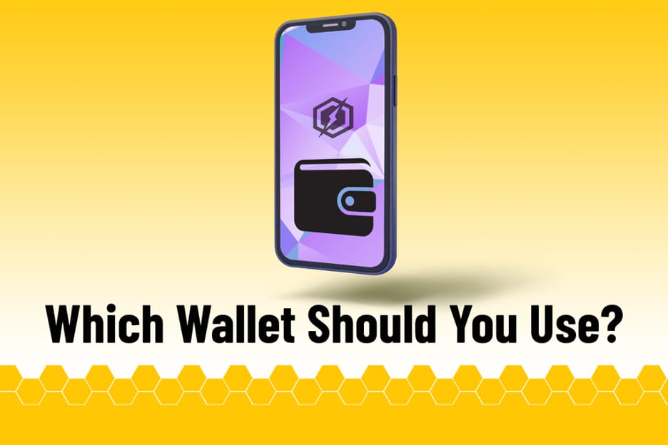 which wallet should i use